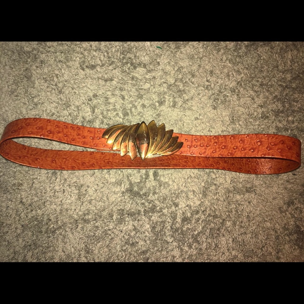Brown and Gold Belt